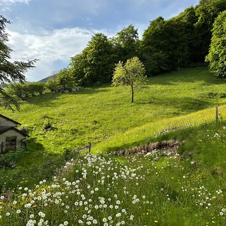 Dimore Dei Faggi Chalet